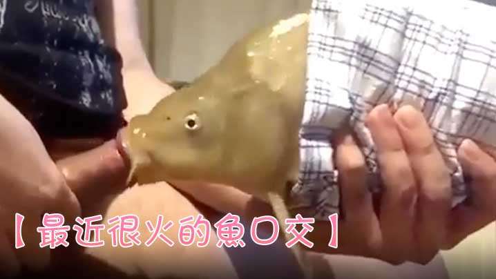 【最近很火的鱼口交】鱼都被迫下海了吗 【最近很火的鱼口交】鱼都被迫下海了吗